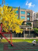 黃金地段｜文山特區公園首排大面寬雙車豪墅
