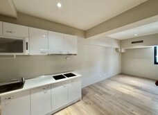 居仁學區全新提包入住電梯兩房只要套房價