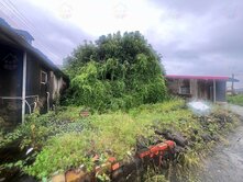 大內8米路珍稀乙建