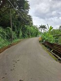 平鎮近治平中學果園美農地