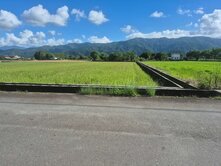 三星鄉頂二萬五段可規劃三塊足坪美農地