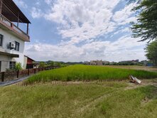 美濃民族路-面寬前後臨路-五分方正農地