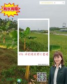 屏東高樹 456 坪休閒農地，買地送健康！