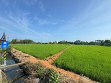 🎯新屋12米雙面臨路方正美田