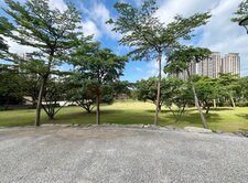 專售｜謙樹｜爾雅溫文｜窗明幾凈三房
