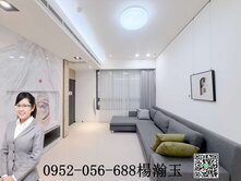 文心森林公園｜大墩學區｜海悅豪景2+1房精裝雙平車