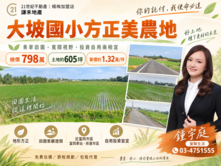 屋聊生活|大坡國小.富岡.瑞原.東明超優值美農地