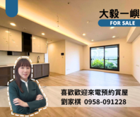 🔥開價實登內🔥大毅一嶼｜三房雙平車視野戶