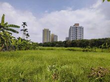 路竹科學園區稀有釋出增值潛力美農地