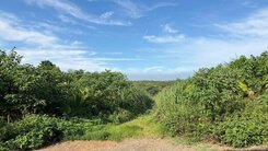 三芝景觀丙建