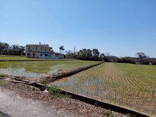 新豐460坪漂亮農地