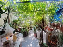 東區鄰近南紡平實建約51坪大透天-H023
