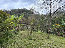 關西上橫坑超值平坦小農地