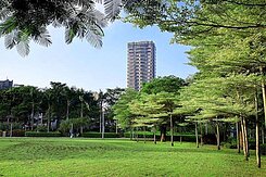 七期森林公園名宅/雙橡園F1裝潢豪宅