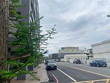 💎高昇新成屋1+1溫馨釋出 專任精選💎