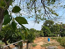 西屯進市政路臨路農建地-買地送屋台中不動產仲介