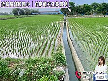 🍎近新屋埔頂國小｜低總價方正美農地🍎  