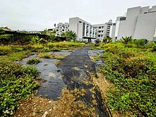 新社區臨新社花海持分美農地