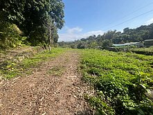 新社區湳嶺段平坦大地坪 美農地