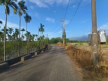 |專約|高樹台22線旁3.02分農地