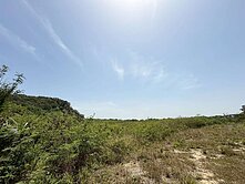 ⭐️苗栗苑裡致民土地廠房⭐️