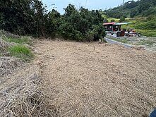 大樹⭐鄰近東照山關帝廟⭐臨路休閒方正農地