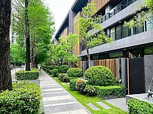 單元二樹禾院~朝南電梯別墅可停3部車