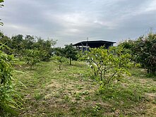 大社方正都市農地