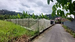 大社觀音山休閒農地