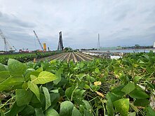 屏東萬丹開心農場臨6米道路農地