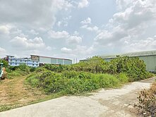 近大樹市區*大莊巷*美農地