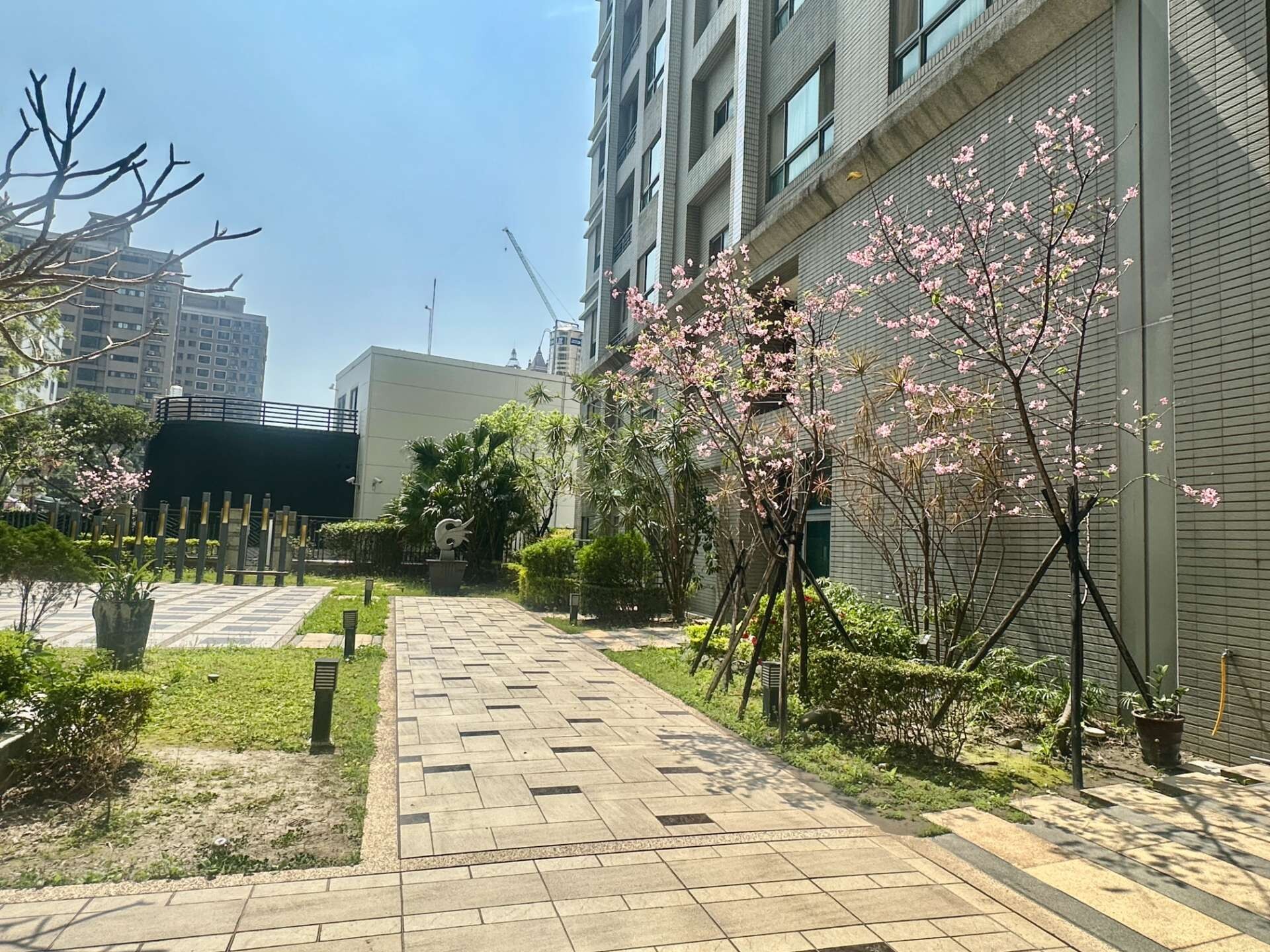 封面圖
