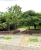 頂尖好房❤️桃園航空城❤️全新尊騰劍橋2房車