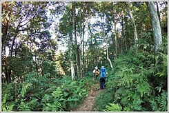 新竹北埔五指山風景區美林地 #Richman