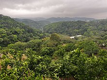 新竹關西🍊橘子園🍊