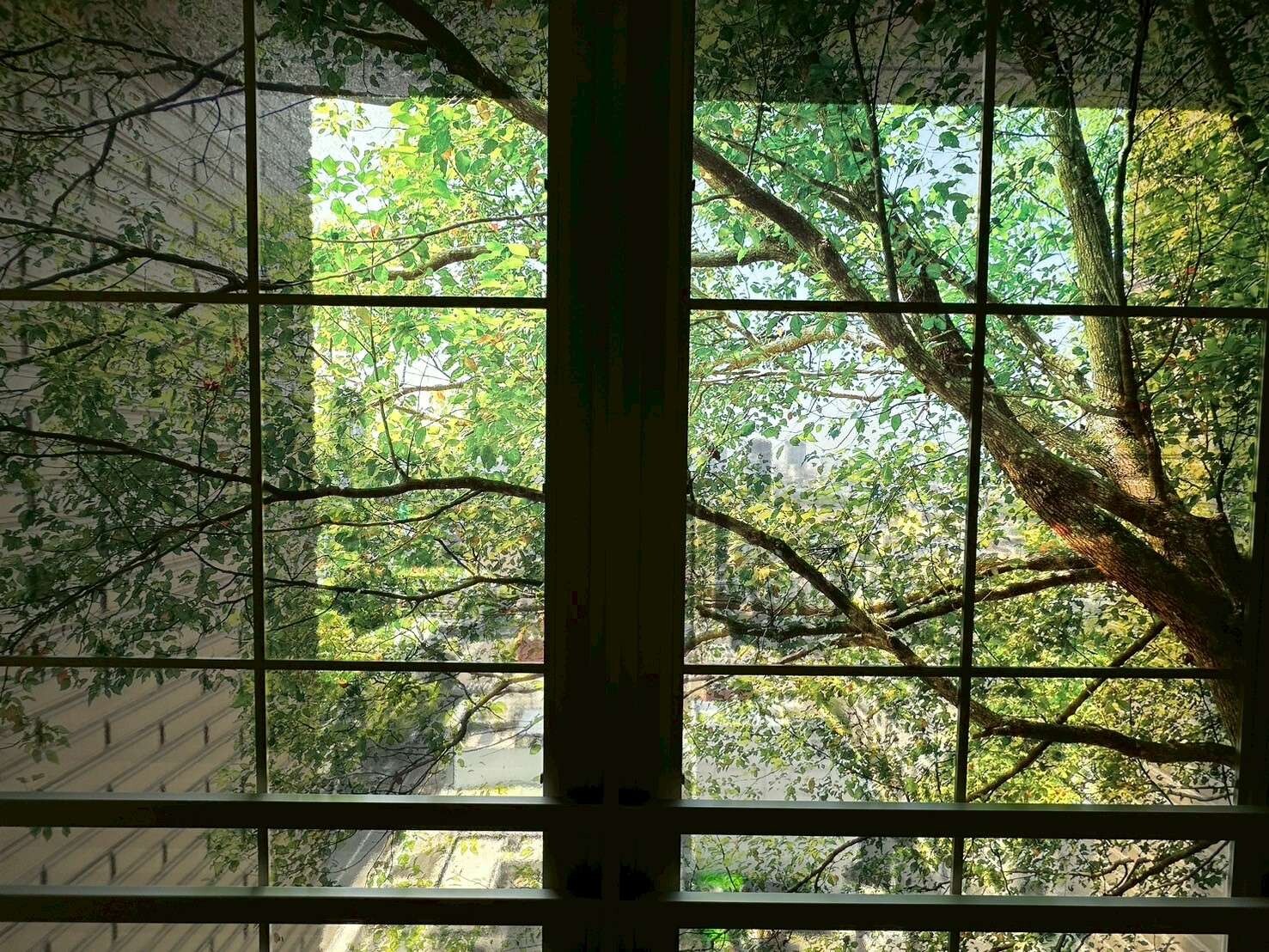 封面圖
