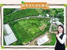 🍀枋寮古華國小🌳漂亮扇形2553坪農地