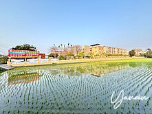 ＊榆你成家＊便宜龍井都計內持分農地
