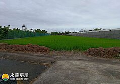 🌾臨路都計農地| 屏東萬丹🥔| 地形方正漂亮