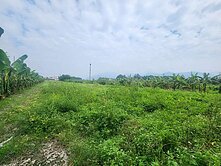 屏東高樹遠眺山景方正農地假日休閒趣