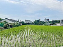 大雅都市計畫漂亮方正農地
