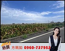 專約鄰近西港農會|土地768坪方正臨路