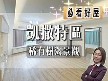 💜卓悅聯盟💜沛存推薦凱薩特區樹海美美2房車