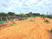 ❤️(已拉建築線)龍井沙鹿交界 星巴克大面寬建地
