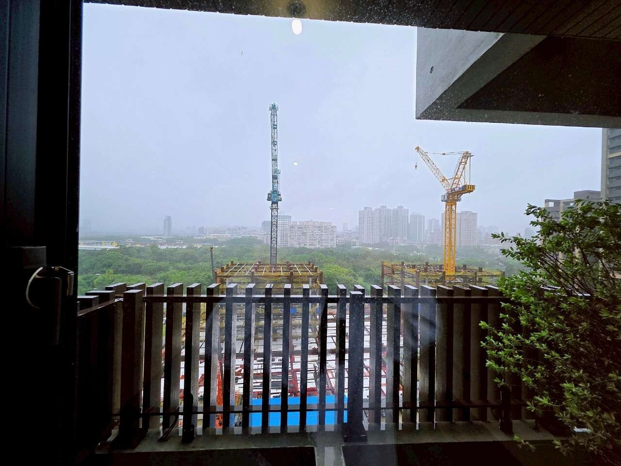 封面圖