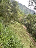 專任-地主大降價-北屯區大昌段農地