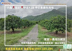 盧麗六龜🎈台27🎈中庄1.23 甲芒果農牧用地