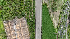 (專約)屏東高樹漂亮面寬臨路230坪農地