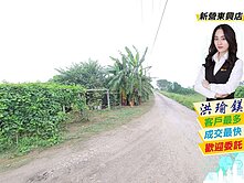新市大洲『台灣歷史博物館』旁4.3分都內農