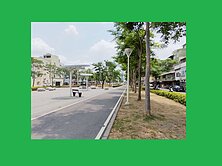 衛武營三井🌳面公園店面透天🏡(有車庫)